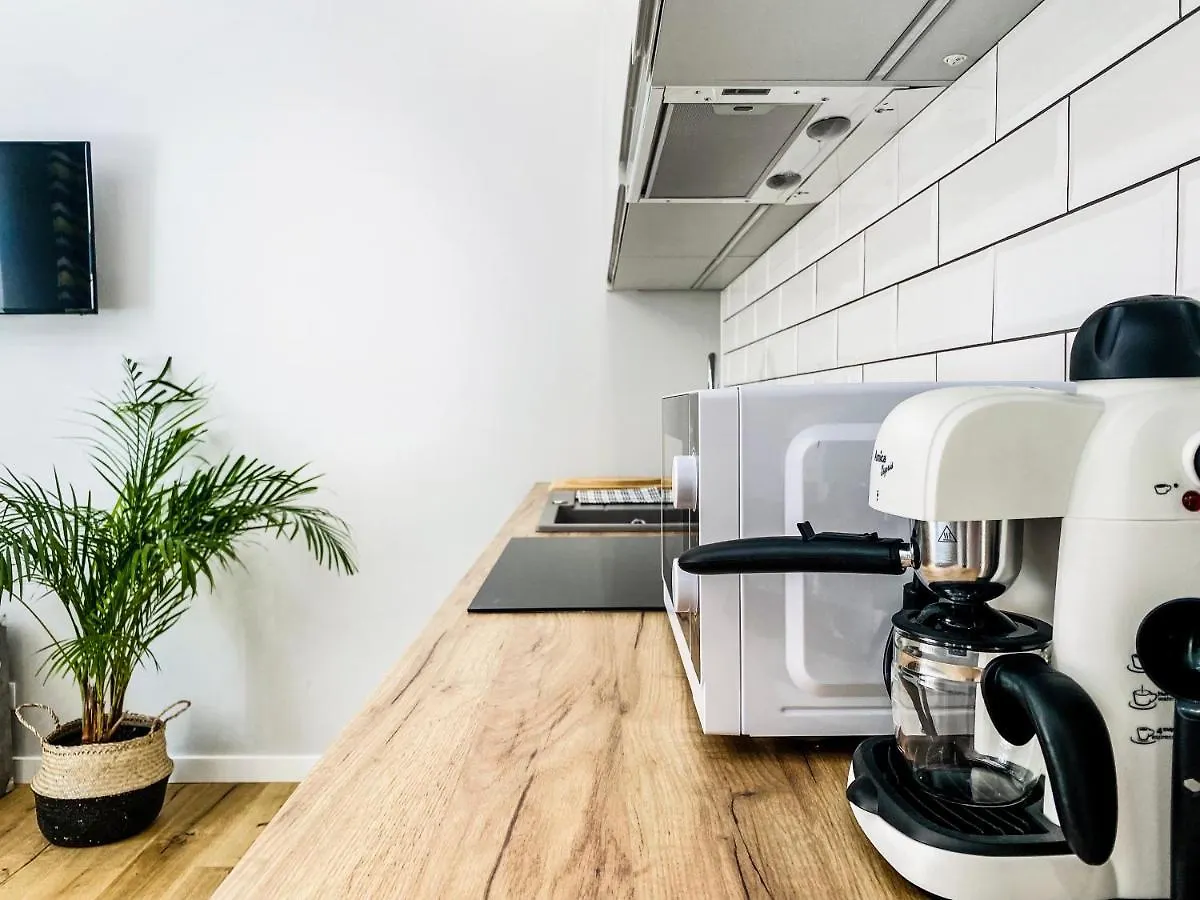 Charming Studio With Air Conditioning, Old Town & Kazimierz Krakow Apartment