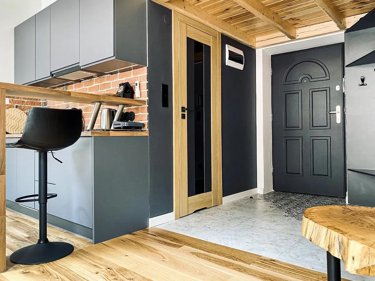 Apartment Charming Studio With Air Conditioning, Old Town & Kazimierz Krakow